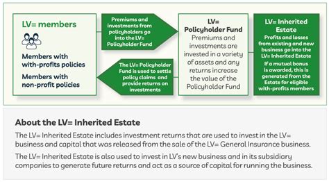 Lv mutual model